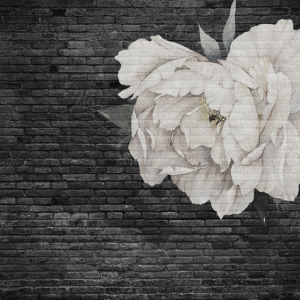 d-14-165-Цветок на черной кирпичной стене d-14-165-Цветок на черной кирпичной стене