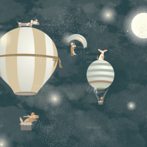 d-07-03_Doggies on balloons-fon d-07-03_Doggies on balloons-fon