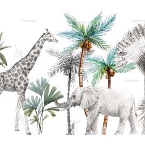 d-08-05-fon d-08-05-fon