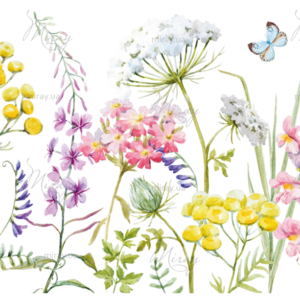 d-14-055-f d-14-055-f