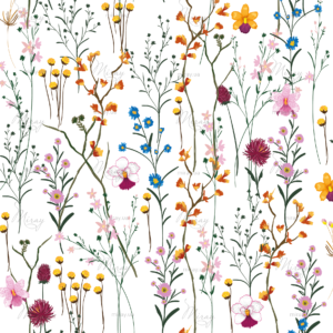 d-14-061-f d-14-061-f