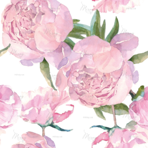 d-14-064-f d-14-064-f