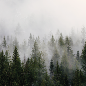 d-14-069-f d-14-069-f