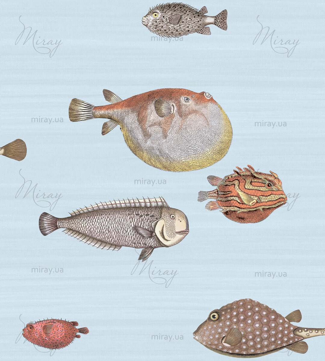 Vintage fish Vintage fish