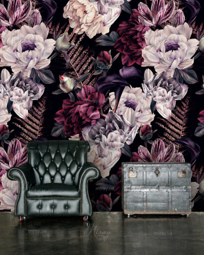 півонії півонії