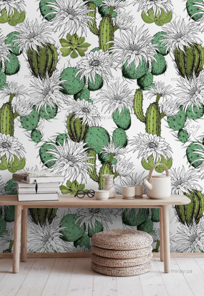 d-14-115-Кактусы с белыми цветами d-14-115-Кактусы с белыми цветами