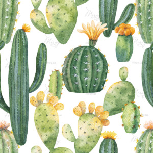 d-14-122-Cacti_1023696856 d-14-122-Cacti_1023696856