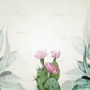 d-14-123-Agaves and cacti d-14-123-Agaves and cacti