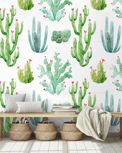 d-14-126-Different cacti d-14-126-Different cacti