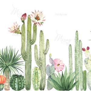 d-14-128-shutterstock_1955017519 d-14-128-shutterstock_1955017519