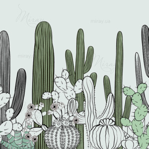 d-14-136-cacti_vector d-14-136-cacti_vector