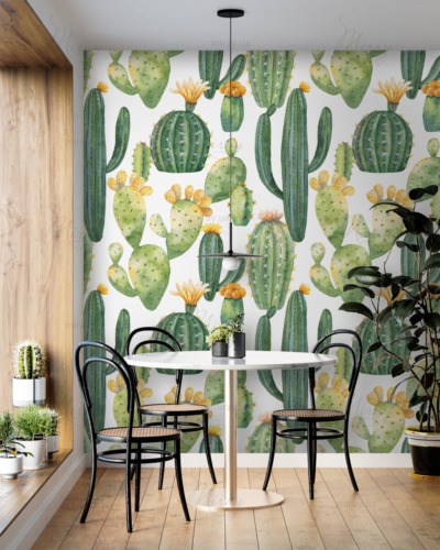 Cacti with yellow flowers Cacti with yellow flowers