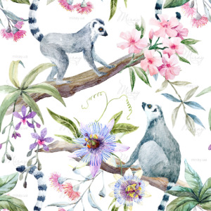 d-05-051-dreamstime_95492854 (1) d-05-051-dreamstime_95492854 (1)