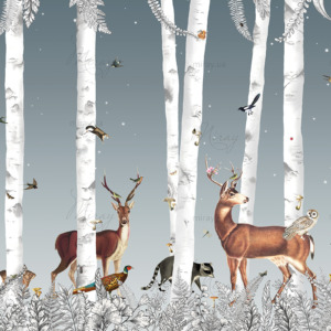 d-05-055-Deer in a birch forest-o d-05-055-Deer in a birch forest-o