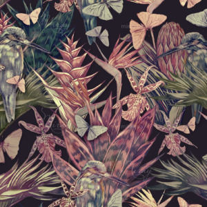 d-13-032-shutterstock_501139972 d-13-032-shutterstock_501139972