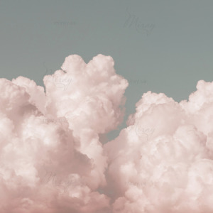 d-17-012-Рожеве облако_pink d-17-012-Рожеве облако_pink