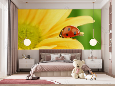 p-05-001-Сонечко (1) -z p-05-001-Сонечко (1) -z