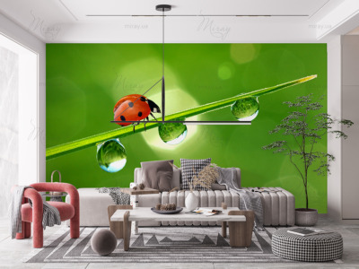 p-05-002-Сонечко (2) -z p-05-002-Сонечко (2) -z