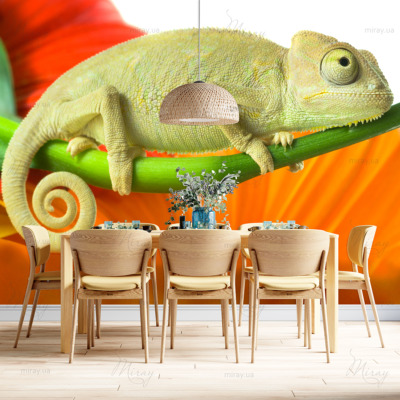 p-05-018-хамелеон (1) -z p-05-018-хамелеон (1) -z