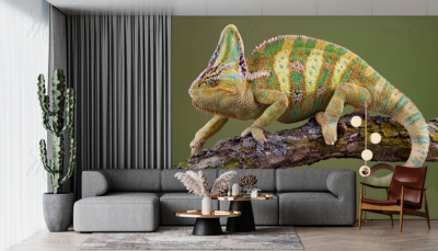 p-05-020-chameleon (3) -z p-05-020-chameleon (3) -z