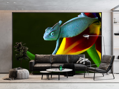 p-05-022-chameleon-z p-05-022-chameleon-z