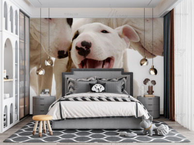 p-05-031-russell terriers-z p-05-031-russell terriers-z