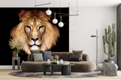 p-05-034-lion’s head-z p-05-034-lion’s head-z