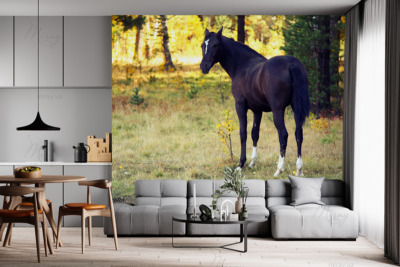p-05-037-horse in the forest-z p-05-037-horse in the forest-z