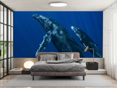 p-05-040-Пара китів-z p-05-040-Пара китів-z