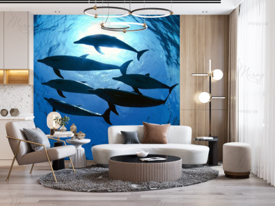 p-05-041-дельфіни в океані-z p-05-041-дельфіни в океані-z