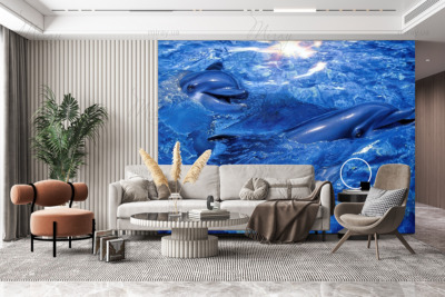 p-05-044-веселі дельфіни-z p-05-044-веселі дельфіни-z