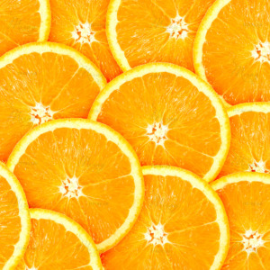p-06-005-orange slices p-06-005-orange slices