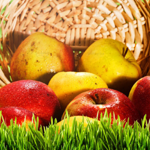 p-06-008-яблука на траві p-06-008-яблука на траві