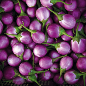 p-06-021-фиолетовый баклажан p-06-021-фиолетовый баклажан