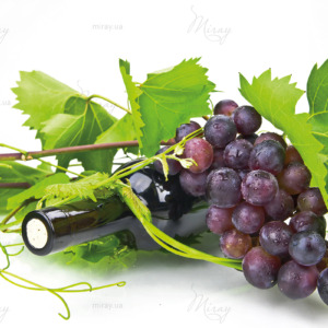 p-06-024-Вино і виноград (4) p-06-024-Вино і виноград (4)