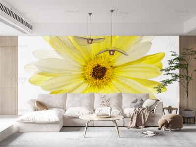 p-07-003-yellow Gerbera-z p-07-003-yellow Gerbera-z