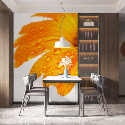 p-07-004-orange Gerbera-z p-07-004-orange Gerbera-z