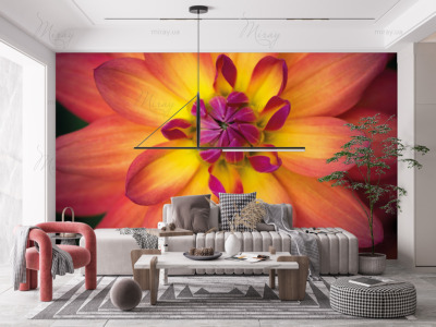 p-07-008-Bright chrysanthemum-z p-07-008-Bright chrysanthemum-z