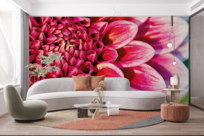 p-07-009-bright dahlia-z p-07-009-bright dahlia-z