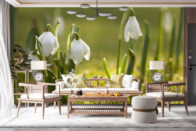 p-07-010-delicate lilies of the valley-z p-07-010-delicate lilies of the valley-z