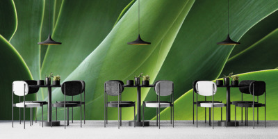 p-07-014-green stems of tblips-z p-07-014-green stems of tblips-z