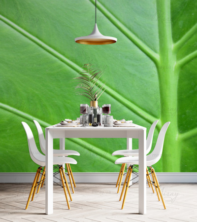 p-07-015-лист вблизи-z p-07-015-лист вблизи-z