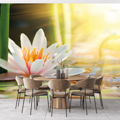 p-07-019-Нежный лотос-z p-07-019-Нежный лотос-z