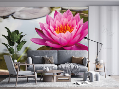 p-07-025-яскрава квітка лотоса-z p-07-025-яскрава квітка лотоса-z