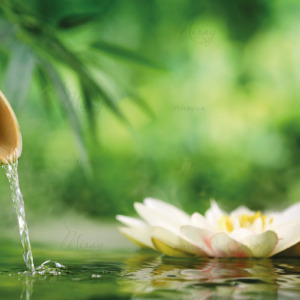 p-07-030-цветок лотоса p-07-030-цветок лотоса