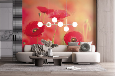 p-07-032-red poppies-z p-07-032-red poppies-z