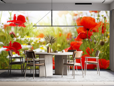 p-07-033-маки та ромашки-z p-07-033-маки та ромашки-z