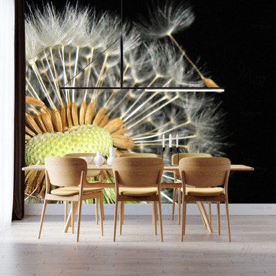 p-07-035-кульбаба крупним планом-z p-07-035-кульбаба крупним планом-z