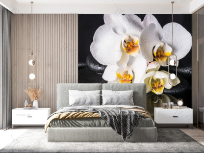 p-07-038-white orchids (3) -z p-07-038-white orchids (3) -z