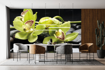 p-07-042-зеленые орхидеи на камнях-z p-07-042-зеленые орхидеи на камнях-z